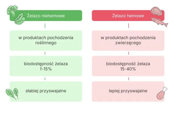 produkty bogate w żelazo hemowe i niehemowe