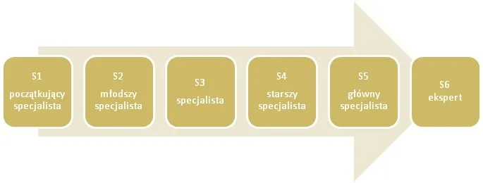 Kwalifikacje zawodowe schemat, ścieżka kariery