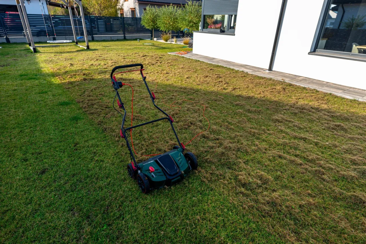 Wertykulator na trawniku po wertykulacji, usuwający filc i mech. Widać świeżo skoszoną trawę i resztki po zabiegu.