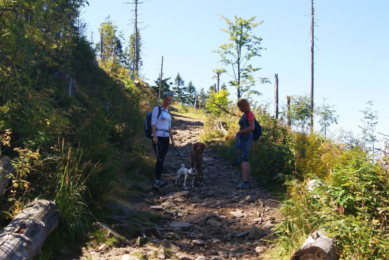 Dwie kobiety z psami na kamienistym szlaku w rezerwat przyrody Barania G&oacute;ra.