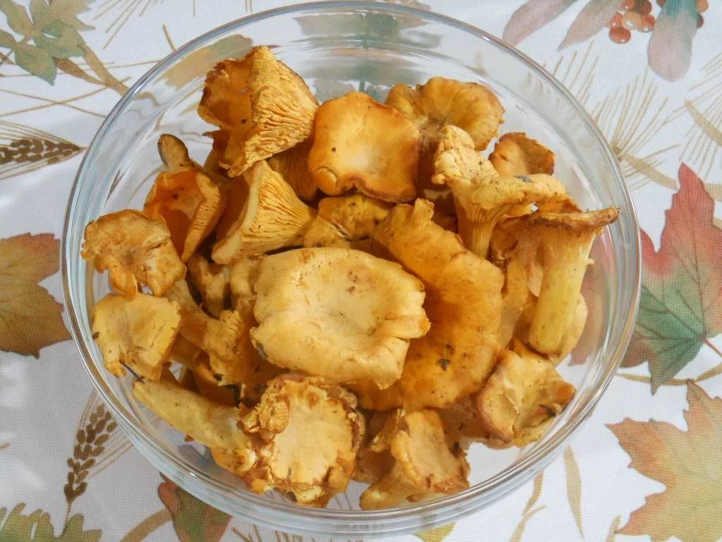 mrożone kurki r&oacute;żne metody przygotowania