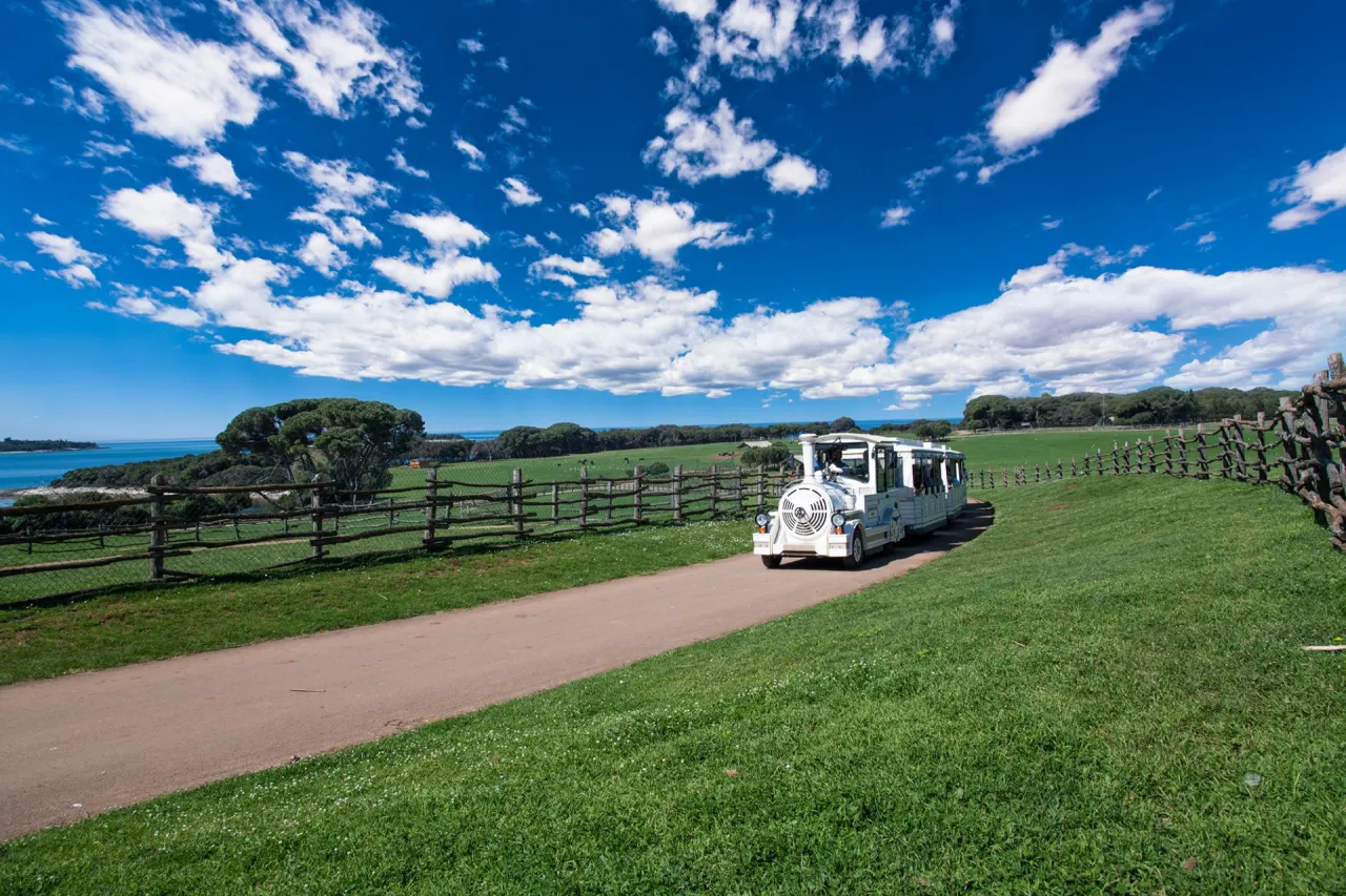 Park Narodowy Brijuni safari