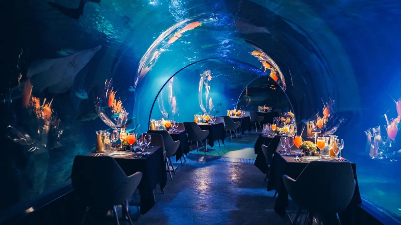 Romantyczna kolacja Wrocław