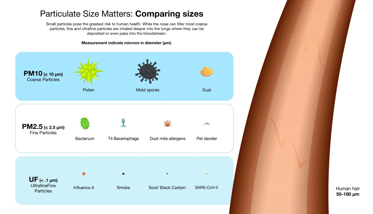 Mikroskopijne cząsteczki PM2.5 i PM10