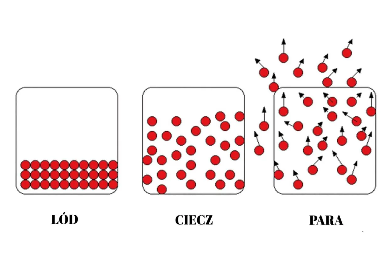 Trzy stany skupienia wody: l&oacute;d (cząsteczki ułożone), ciecz (cząsteczki luźniejsze) i para (cząsteczki swobodne). Zagadka o wodzie.