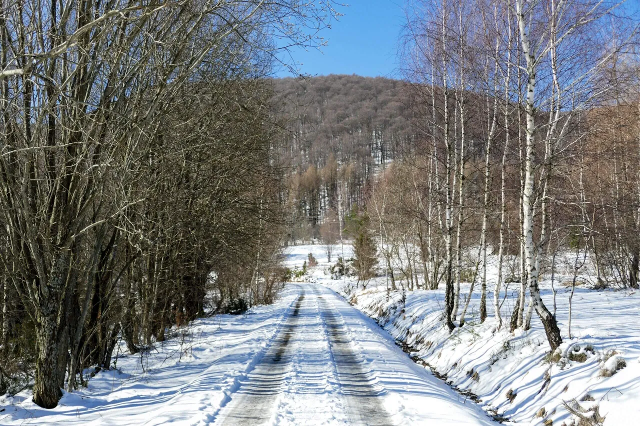Śnieżna droga prowadzi do bac&oacute;wki pod Małą Rawką. Wok&oacute;ł zimowy krajobraz z nagimi drzewami i ośnieżonymi wzg&oacute;rzami.