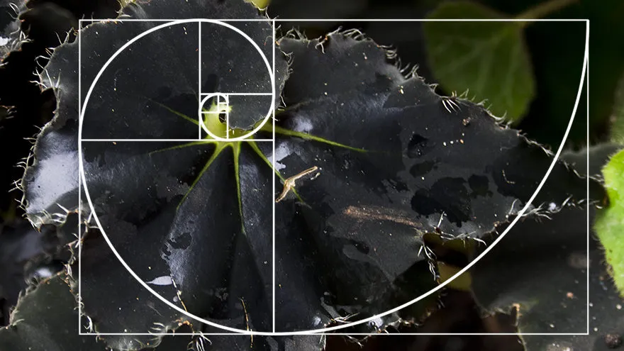 Przykłady zasad kompozycji w fotografii