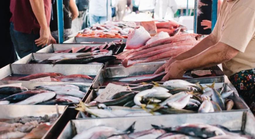 Pesce fresco mercato qualità