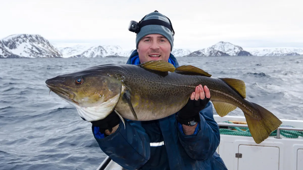 przepisy celne norwegia ryby 2026