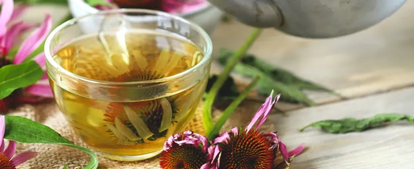 herbata z jeż&oacute;wki przepis