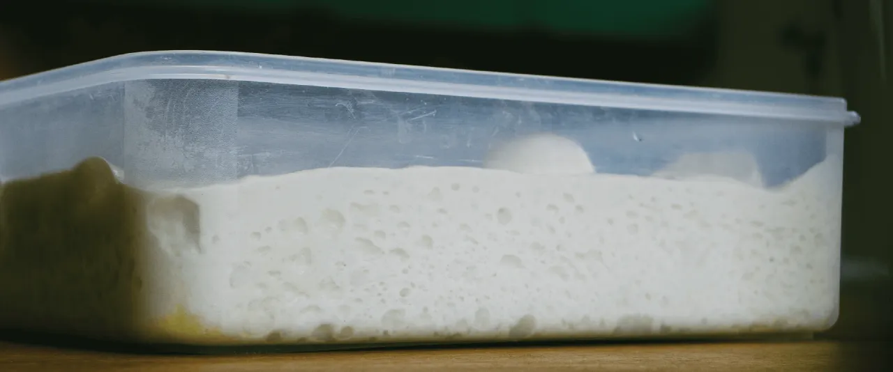 ciasto na pizzę zimna fermentacja przed i po