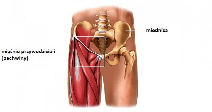 Ból mięśni po bieganiu mikrourazy