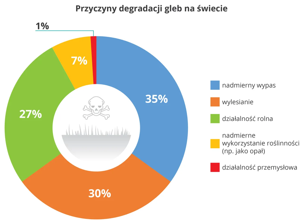 Źr&oacute;dła zanieczyszczeń gleby
