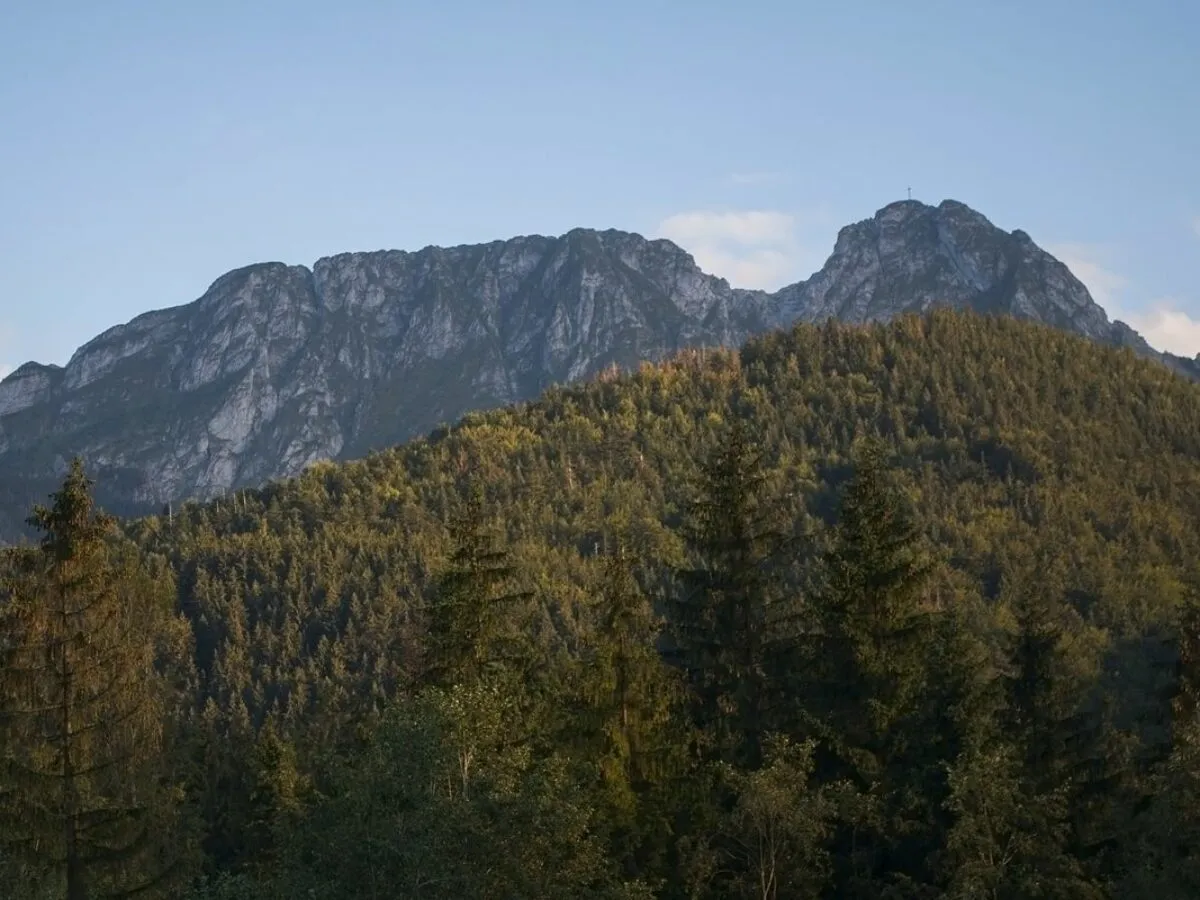 G&oacute;rski krajobraz, gdzie lasy pokrywają zbocza, a skaliste szczyty przypominają o legendzie o śpiącym rycerzu.