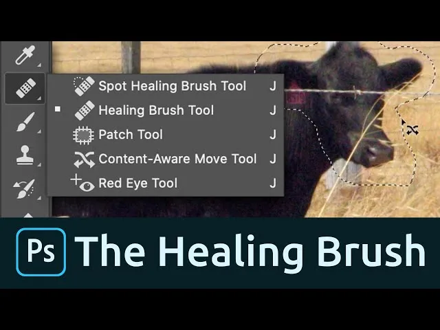 healing brush patch tool photoshop