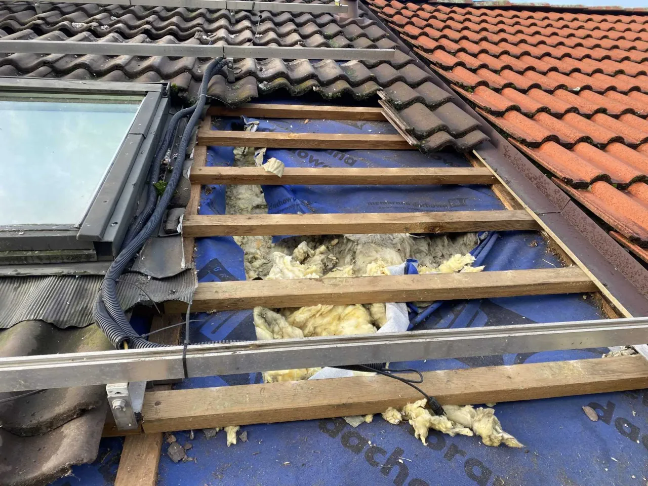 zrujnowana izolacja poddasza przez kunę