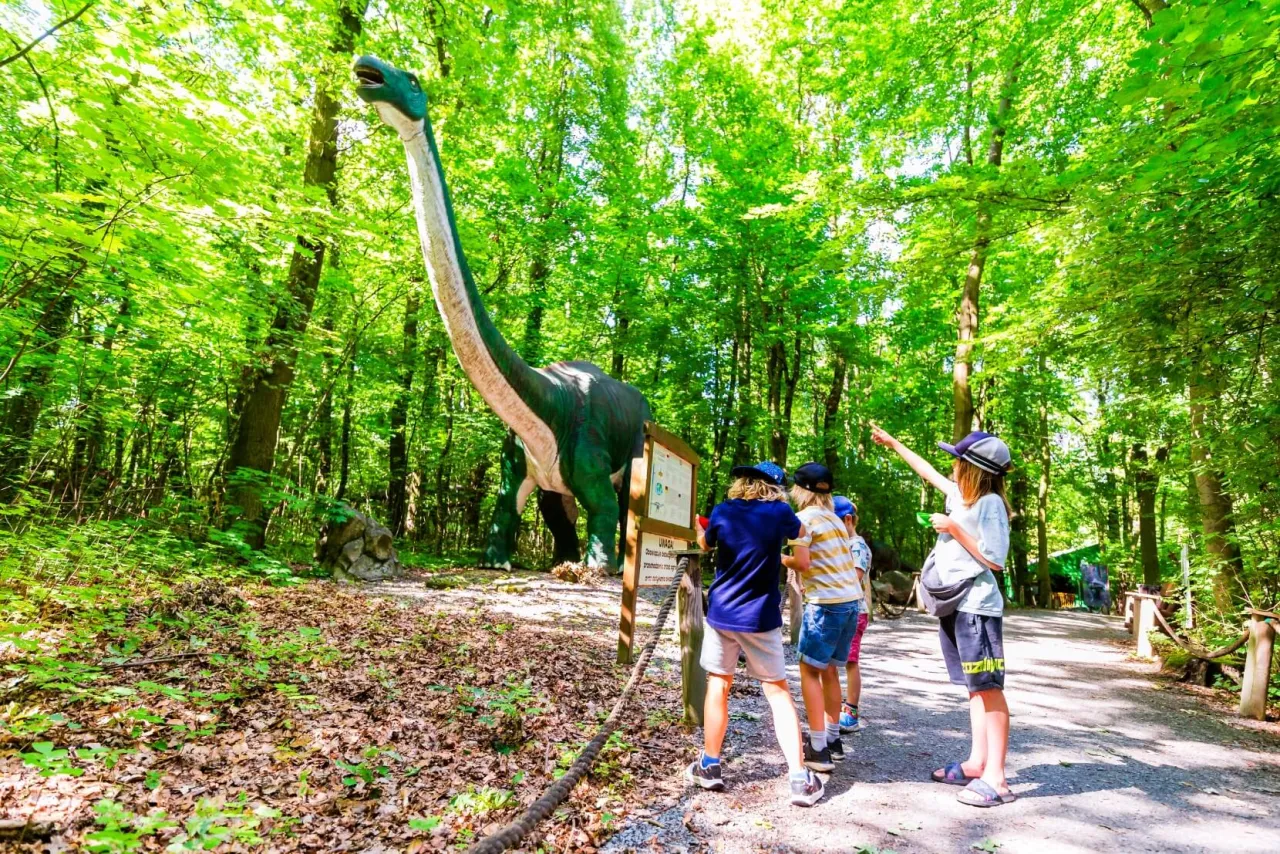 Dino Park Malbork atrakcje dla dzieci