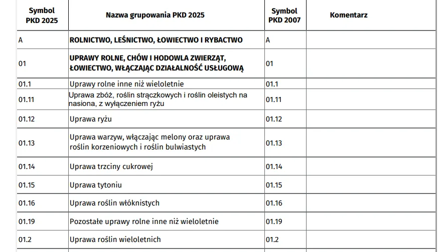 Polska Klasyfikacja Działalności dokument