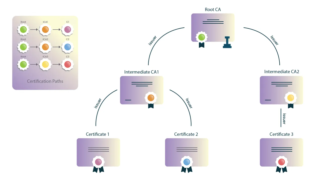 SSL certificate domain server relationship diagram