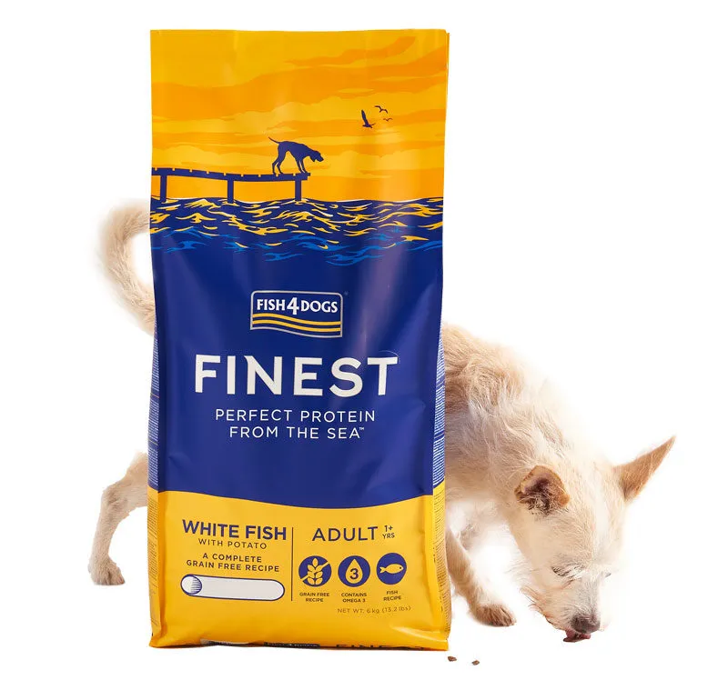 Bezpieczne ryby z puszki dla psa