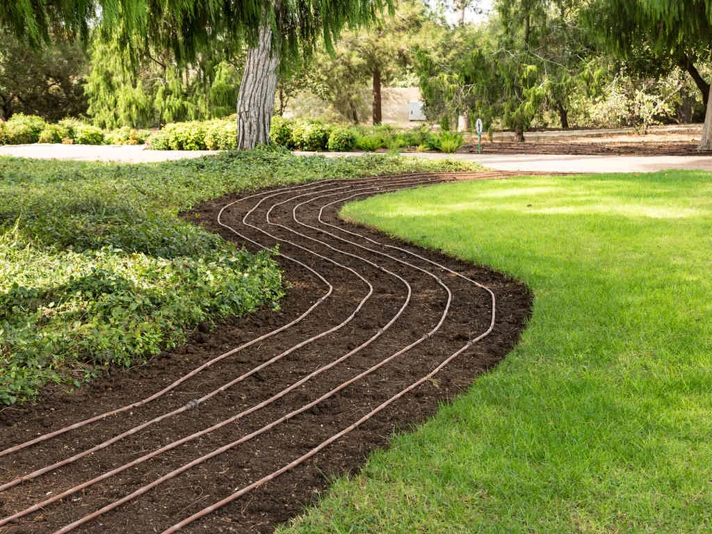 system nawadniania kropelkowego w ogrodzie ozdobnym