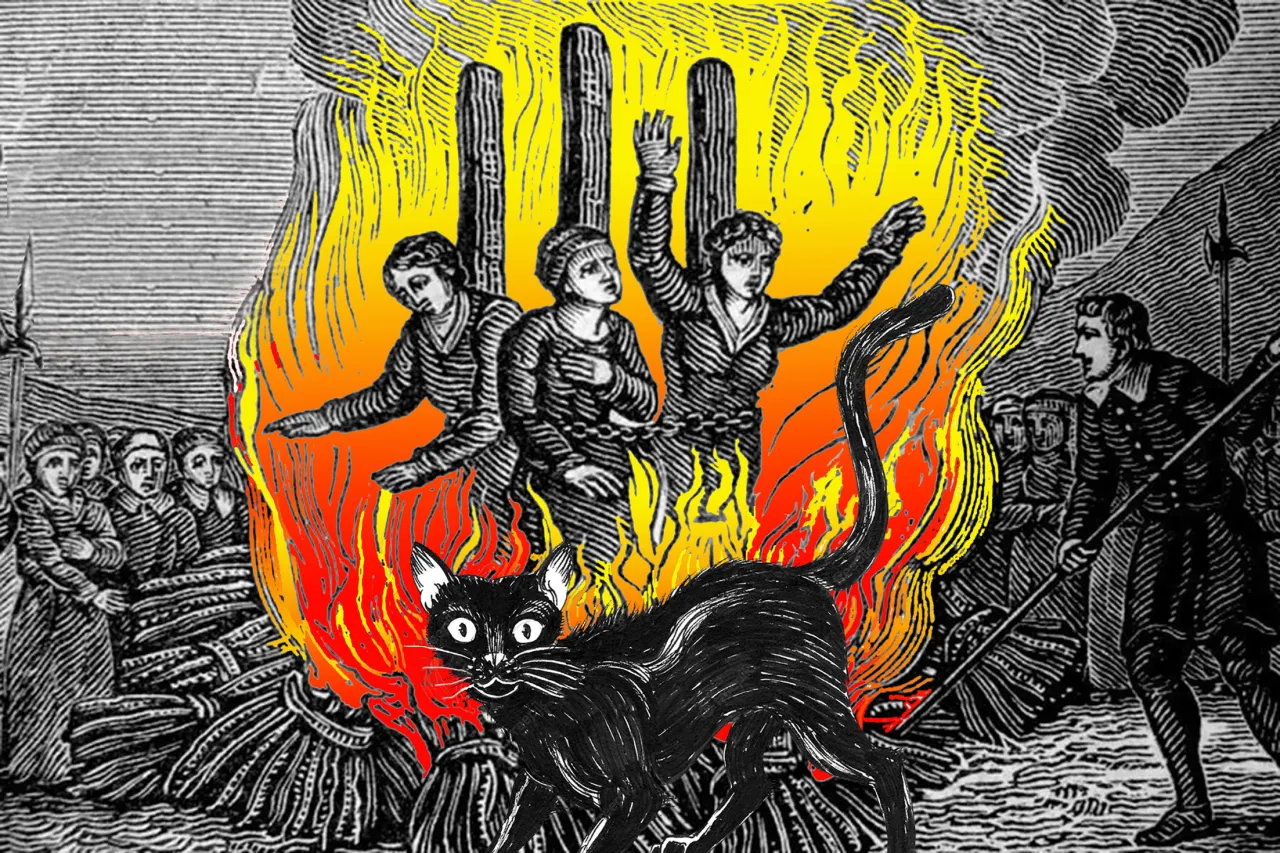 Ilustracja legendy o pochodzeniu kotów