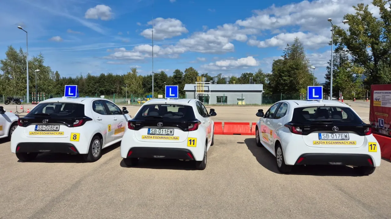 egzamin na prawo jazdy WORD