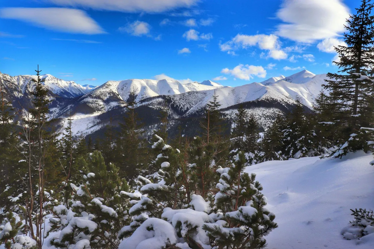 Zimowy krajobraz Tatr