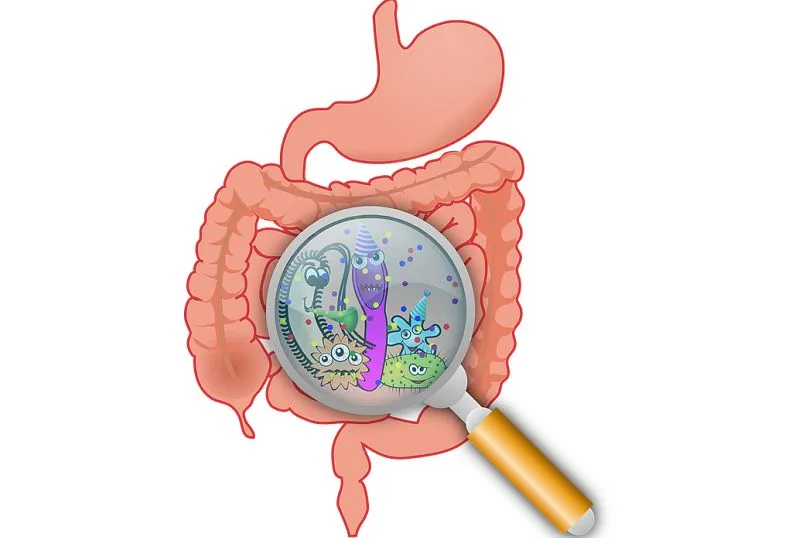 mikroflora jelitowa probiotyki działanie