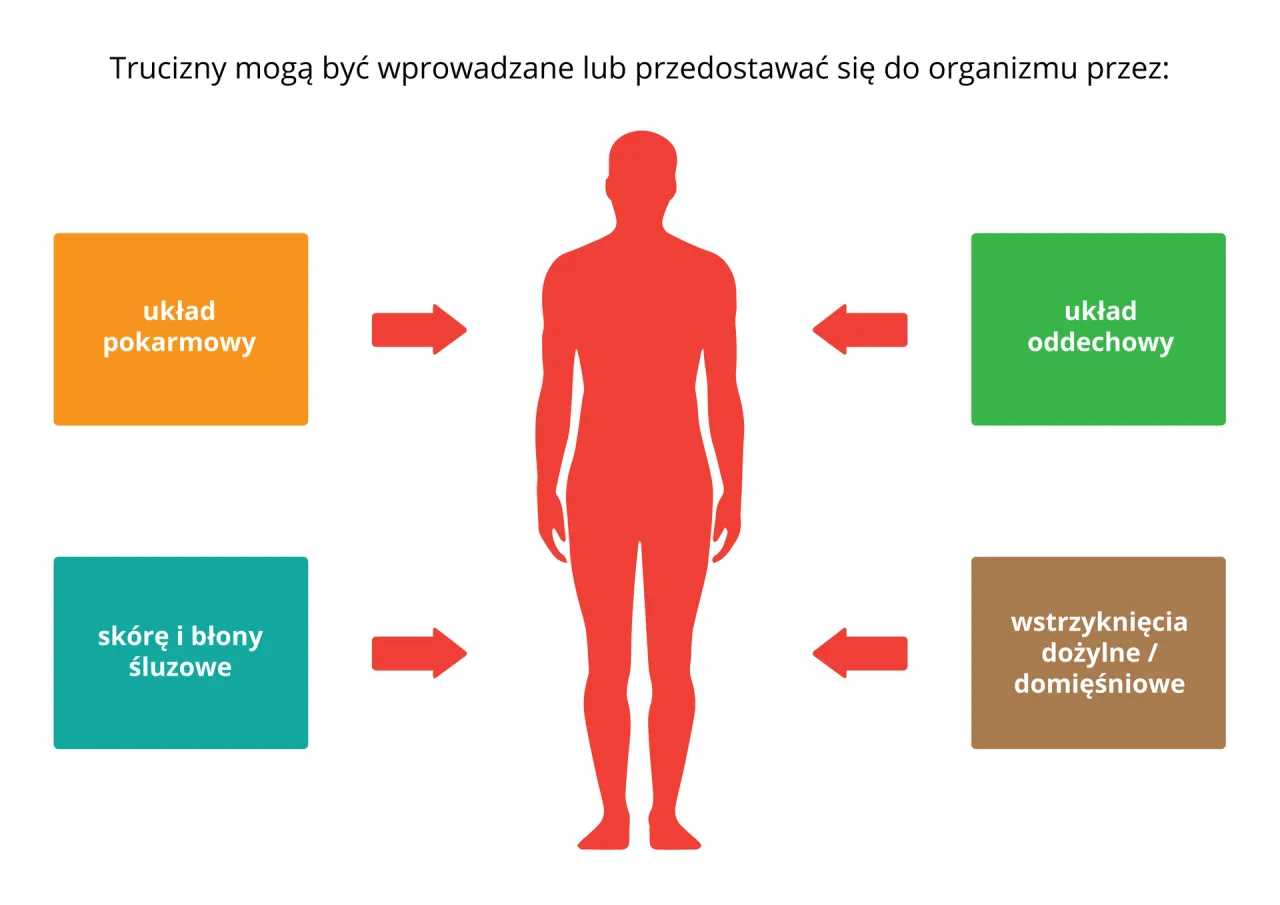 Pierwsza pomoc w zatruciu algorytm
