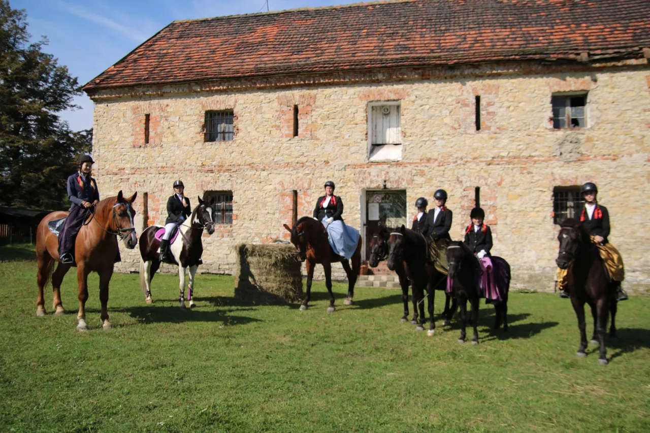 Stadnina Koni Arabka Mysłowice Dziećkowice