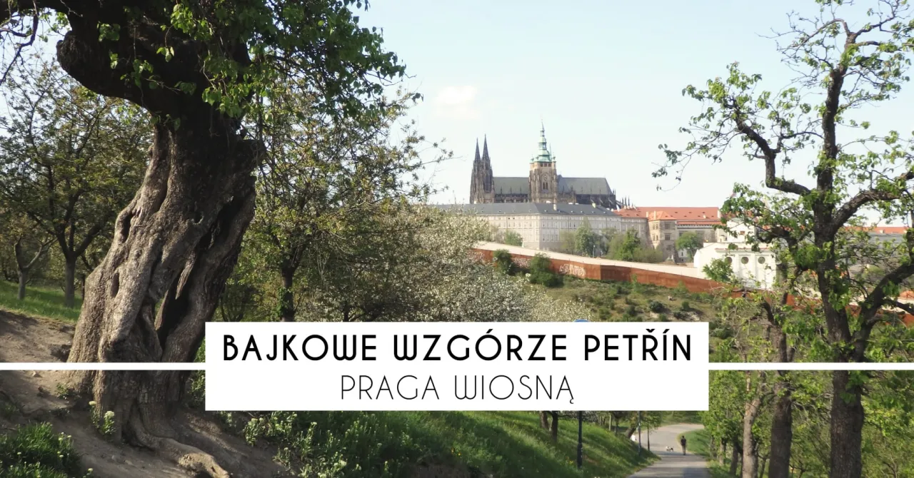Wiosenna Praga na Wzg&oacute;rzu Petř&iacute;n. Zobacz, co zwiedzić w pradze czeskiej, spacerując wśr&oacute;d kwitnących drzew i podziwiając panoramę miasta.