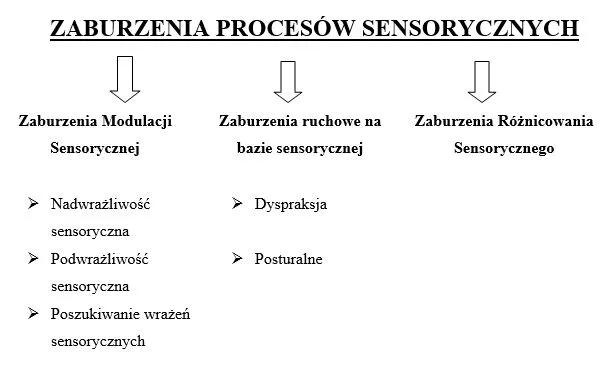 Zdjęcie Zaburzenia przetwarzania sensorycznego objawy – jak je rozpoznać?