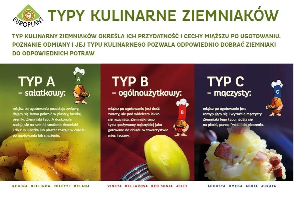 typy kulinarne ziemniaków infografika