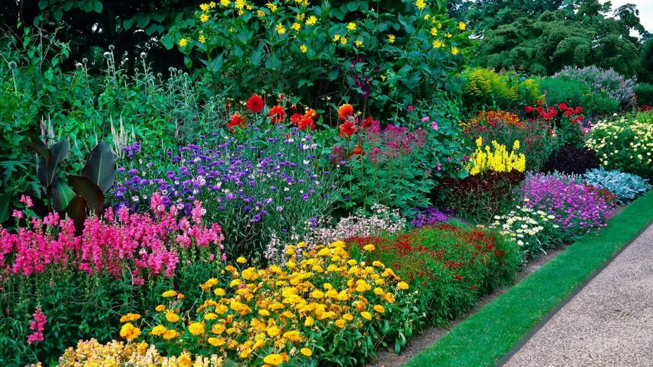 Pięknie obsadzona ścieżka ogrodowa