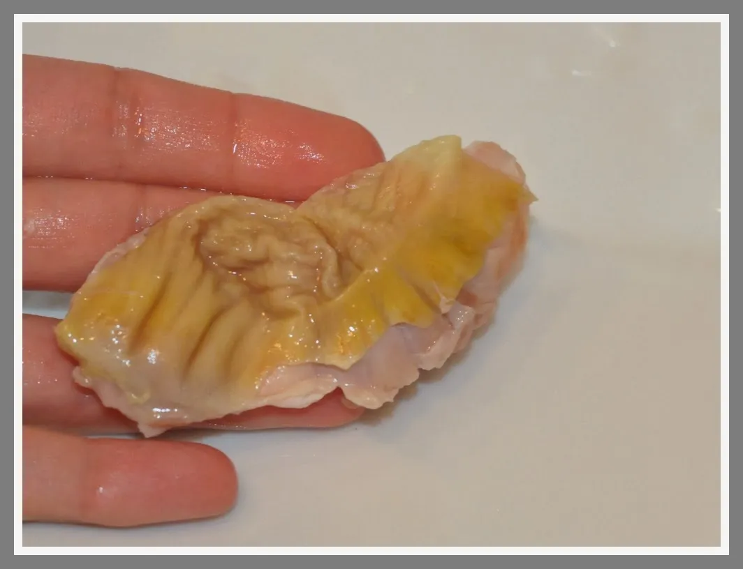 żołądki drobiowe przed i po czyszczeniu