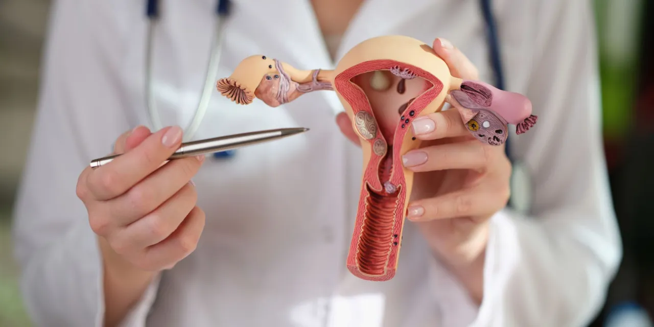 Grzybica pochwy mikroflora