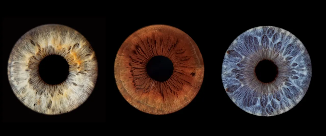 przykładowe zdjęcie tęcz&oacute;wki oka w wysokiej rozdzielczości