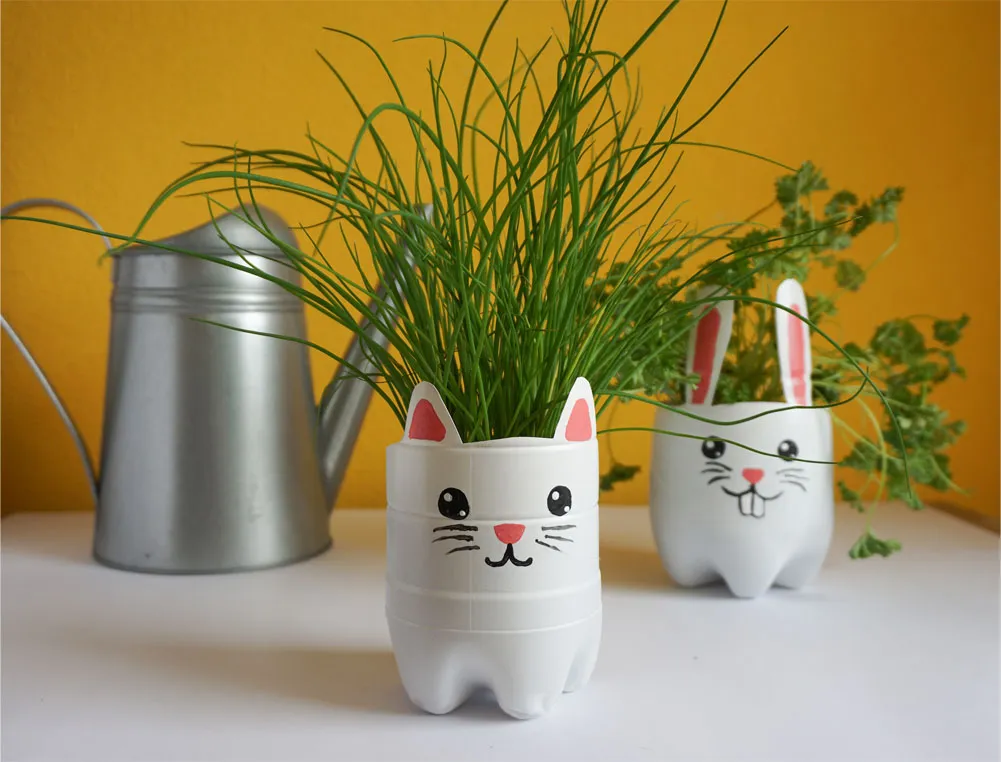 doniczka samonawadniająca z butelki krok po kroku