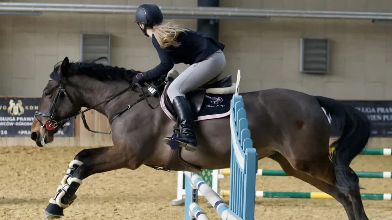 zawody jeździeckie lublin dzieci