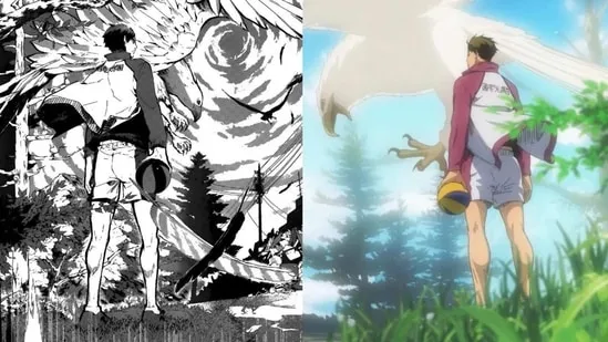Manga vs Anime comparison