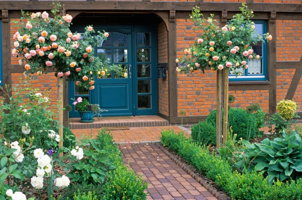 piękna ścieżka do domu z roślinami