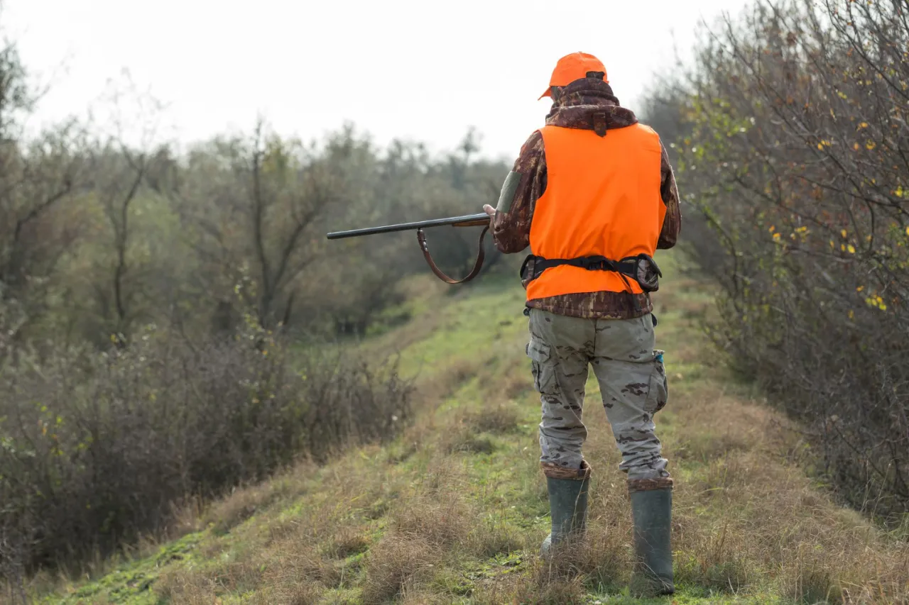 Myśliwy w pomarańczowej kamizelce i czapce, z bronią, w lesie. To co musi mieć myśliwy na polowaniu to widoczność i odpowiedni sprzęt.
