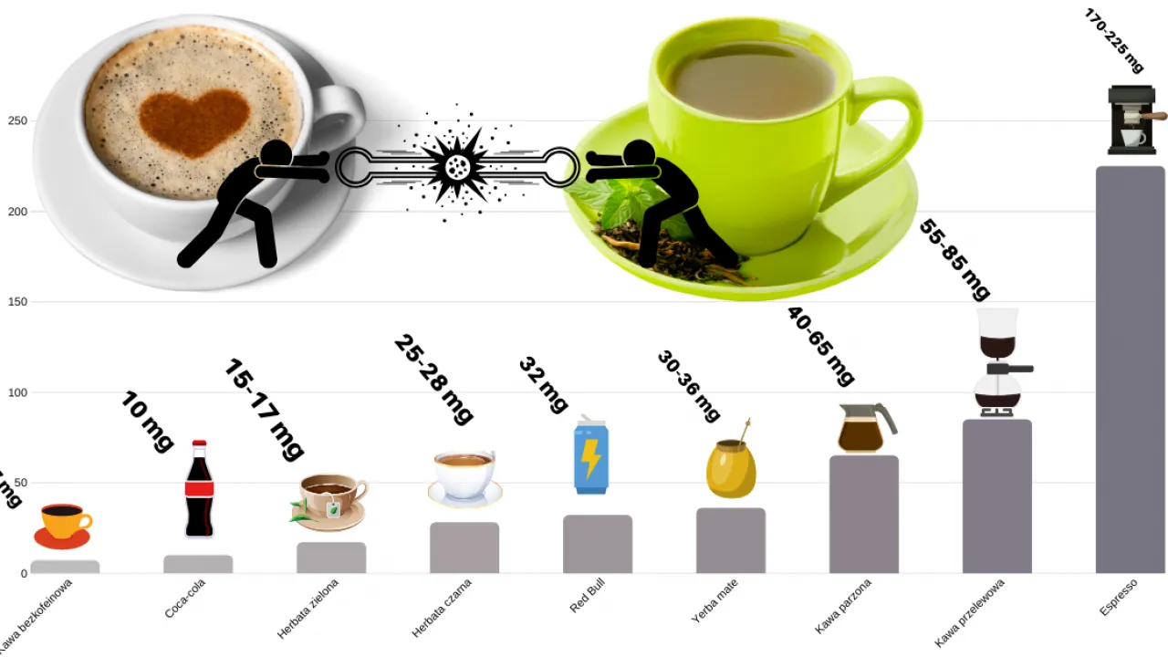 kwas chlorogenowy i katechiny w kawie i herbacie