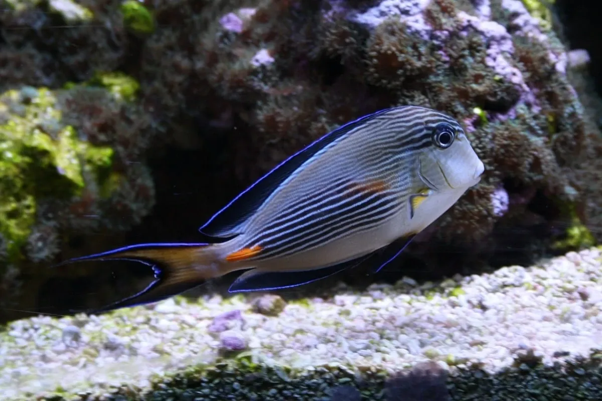 Oceanarium Jastrzębia G&oacute;ra wejście budynek