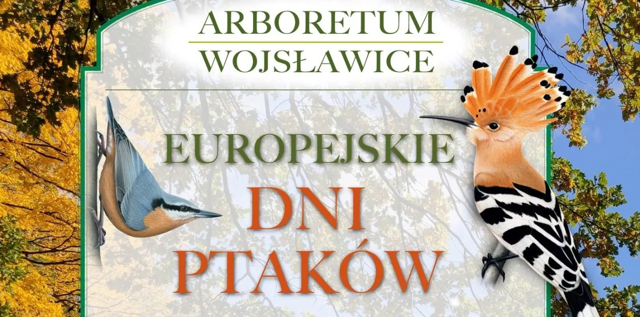 Arboretum Wojsławice Festiwal Dyni