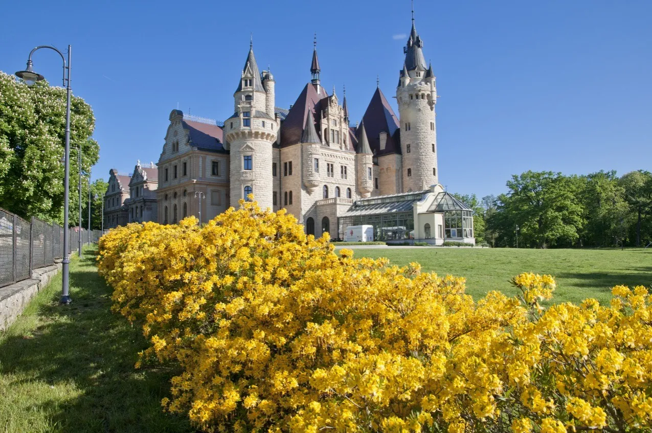 Bajkowy zamek Moszna, otoczony kwitnącymi żółtymi krzewami, zachwyca. Zwiedzanie zamku Moszna to podróż w czasie, która zajmuje kilka godzin.