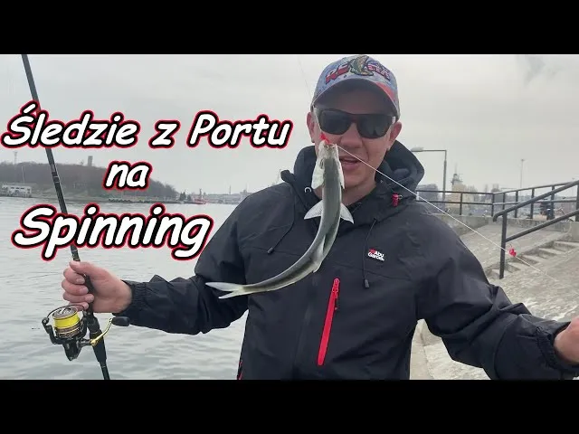 wędkarze na pirsie w porcie, łowienie śledzi