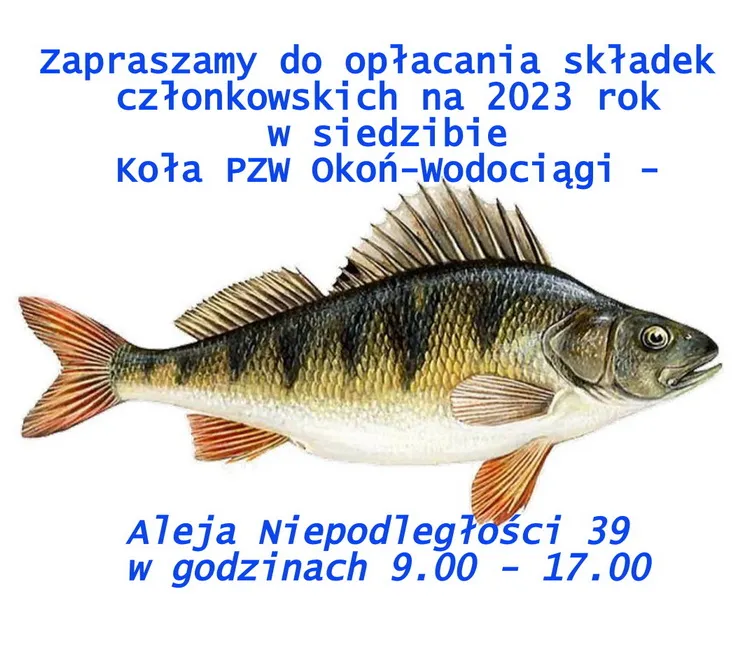 Zdjęcie Łowisko specjalne koła PZW Okoń Wodociągi – zasady i zawody wędkarskie