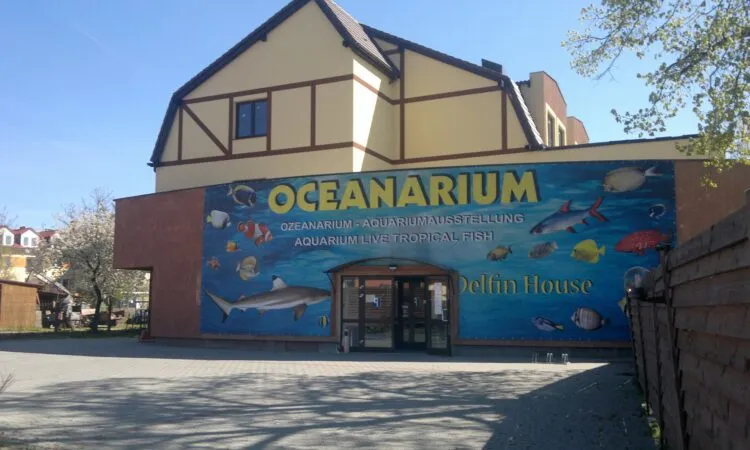 Zdjęcie Oceanarium Łeba – fascynujący świat morskich stworzeń i edukacji